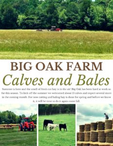 BIG OAK FARM- June Newsletter (1)