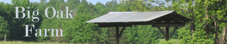 Banner: Big Oak Farm - Cabarrus County, North Carolina